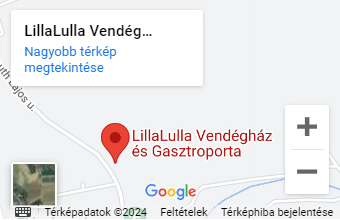 Google Térkép